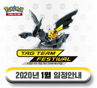포켓몬스쿨 「TAG TEAM 페스티벌」